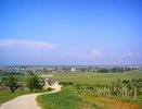 Что есть в Беларуси, но для России — редкость: 12 отличий