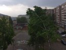 Костромичей предупреждают о сильном ветре