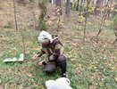 Ягодное царство: где в Костромской области можно набрать полные корзины черники