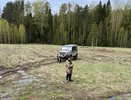 Костромичам придется сдавать экзамен для получения охотничьего билета