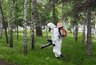 Миниатюра новости: Костромские парки временно закрыты для посещения