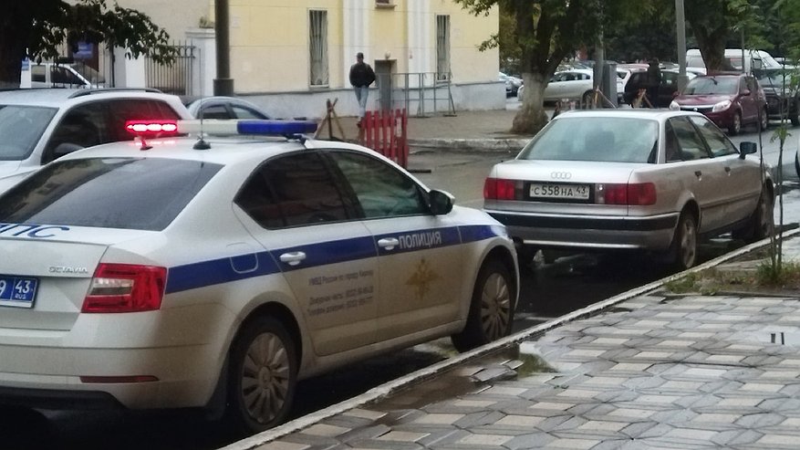 Главная картинка новости: Паркуюсь как «профи» — знаю хитрый трюк: расстояние от бордюра всегда 5 см — даже неопытная автоледи справится