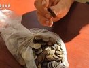 В Костромской области завершили сбор монет для памятника на Поклонной горе