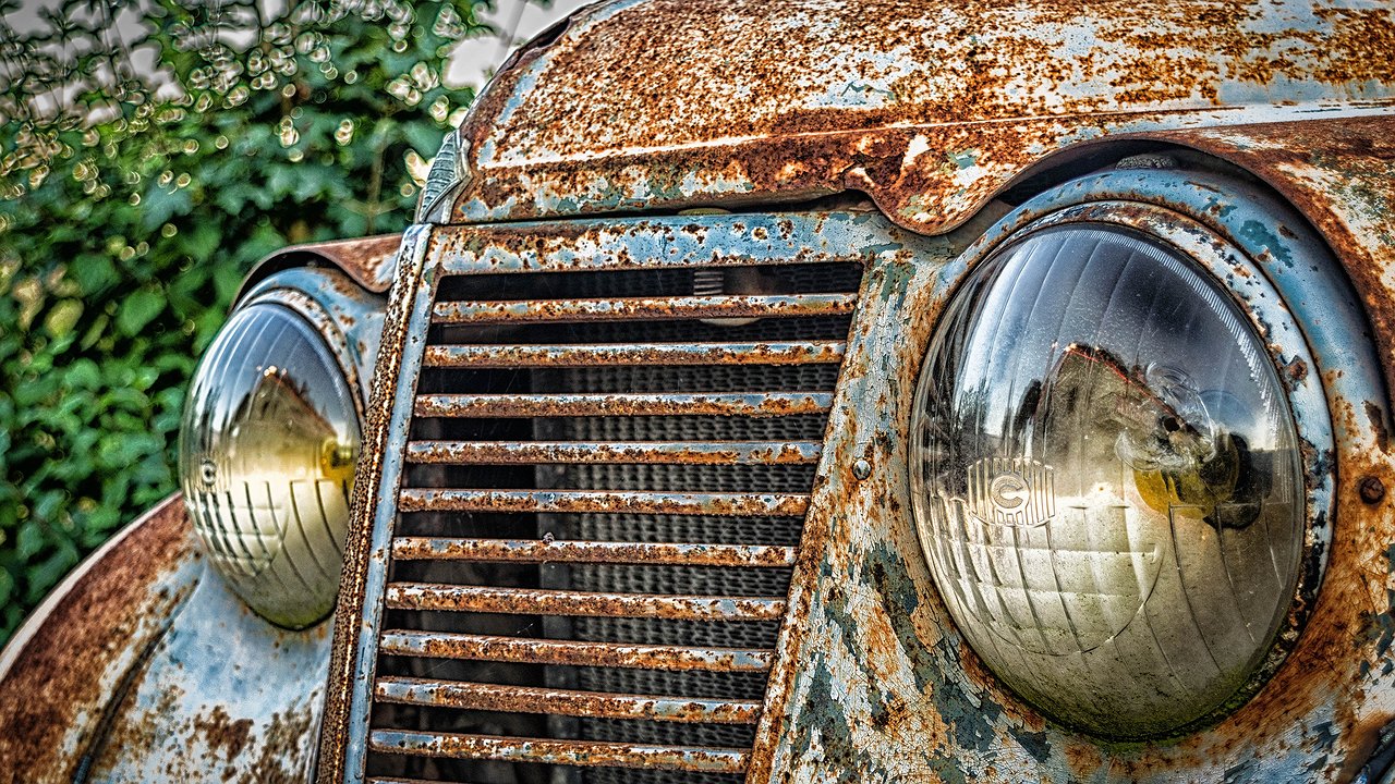 Главная картинка новости: Не "антикор" и не "пушсало": даже спустя 20 лет ни одного "рыжика" — забытый способ из СССР