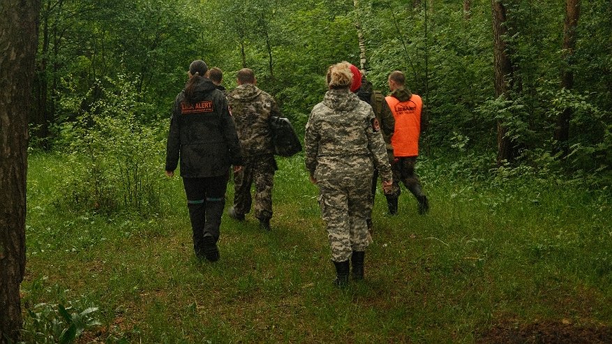 Главная картинка новости: В Костромской области ищут 71-летнего мужчину, который не вернулся из леса
