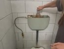 Тараканы и сломанные туалеты: прокуратура в Костромской области проверит общежитие сельскохозяйственной академии