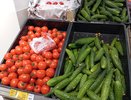 Купил помидоры в «Магните» — разрезал на дольки и посадил: через 1 неделю выросло нечто — рассказываю