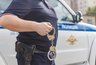 Миниатюра новости: Кражу теленка в Костромской области раскрыли по следам шин