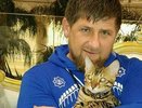 Почему Кадыров говорит «Дон» после каждого второго слова: расшифровка фирменного выражения