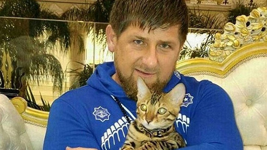 Главная картинка новости: Почему Кадыров говорит «Дон» после каждого второго слова: расшифровка фирменного выражения