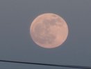 Сегодня в Костроме можно будет увидеть редкую «кровавую Луну»