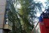 Миниатюра новости: Из костромской пятиэтажки эвакуировали 15 человек