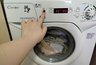 Миниатюра новости: Плесень в шланге растёт, словно лес после дождя: чистим стиралку лимоном и зубной пастой - годный лайфхак