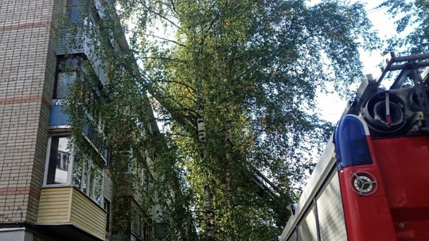 Главная картинка новости: Из костромской пятиэтажки эвакуировали 15 человек