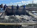В Волгореченске искусственный интеллект помогает растить осетров
