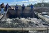 Миниатюра новости: В Волгореченске искусственный интеллект помогает растить осетров