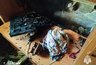 Миниатюра новости: Три пожара за сутки ликвидировали спасатели Костромской области