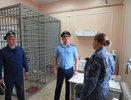 В костромской колонии остановили попытку передать запрещенные предметы