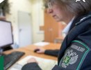 Россельхознадзор нашел нарушения у костромского виноградаря