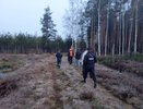 В Костромской области почти месяц не могут найти 87-летнего пенсионера
