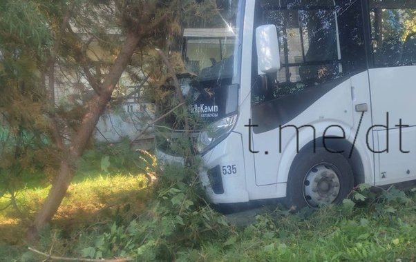 Автобус съехал в кювет в Нерехтском районе из-за недомогания водителя