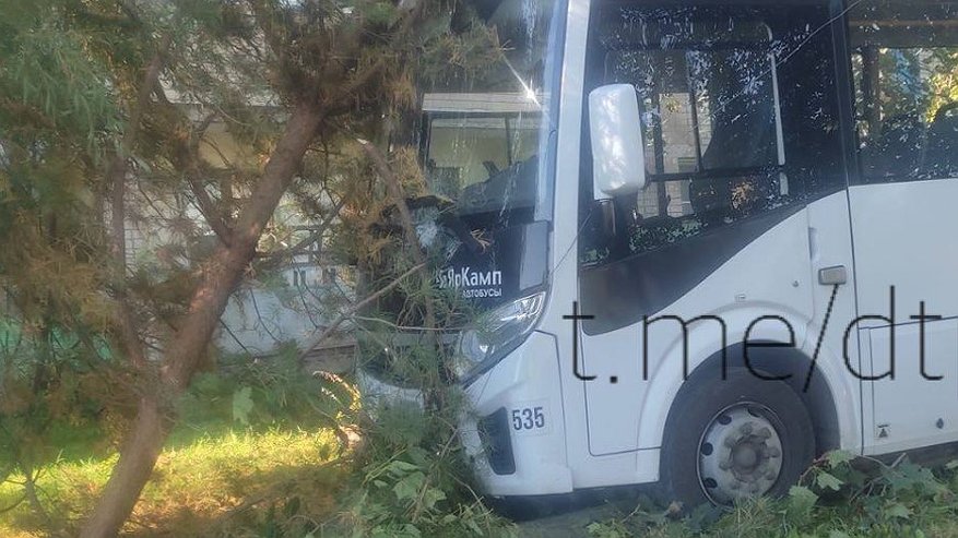 Главная картинка новости: Автобус съехал в кювет в Нерехтском районе из-за недомогания водителя
