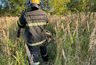 Миниатюра новости: В Костромской области потушили торфяной пожар