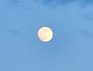 Костромичи смогут увидеть затмение Венеры 19 сентября