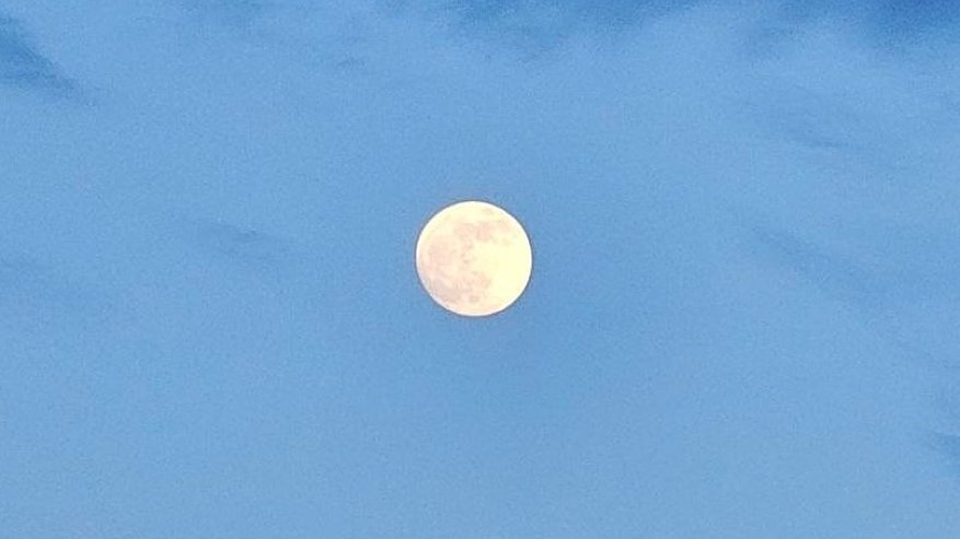 Главная картинка новости: Костромичи смогут увидеть затмение Венеры 19 сентября