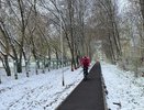 Стало известно, когда в Костроме выпадет первый снег