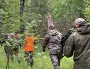 В Костромской области ищут 75-летнего грибника, который не вернулся из леса
