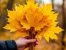 Что нельзя делать 25 сентября - у всех, кто не придаст значения, начнется "чёрная полоса": народные приметы на Артамонов день