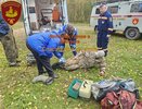 Спасатели Костромской области вывели из леса грибника с переломом ноги
