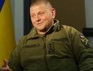 Залужный признал: курская авантюра обернулась катастрофой, а фронт неумолимо движется на запад