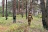 Миниатюра новости: В Костромской области сохраняются высокие риски возникновения лесных пожаров