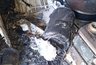 Миниатюра новости: Ожоги лица, шеи и рук: в Костроме при пожаре пострадала 70-летняя женщина
