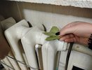 С первыми заморозками всегда кладу лаврушку на батарею: дети заметили разницу первыми