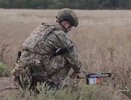 Больше 80 дронов были перехвачены над регионами России прошедшей ночью