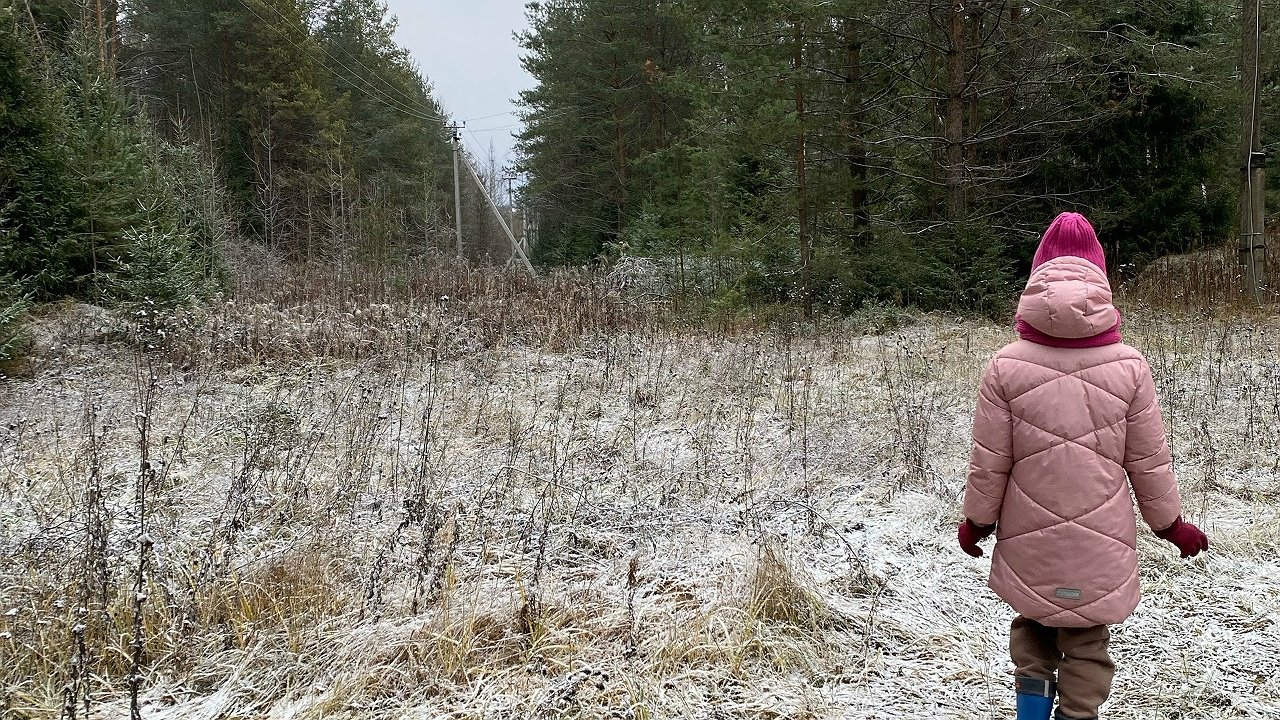 Главная картинка новости: Стало известно, когда в Кострому придут заморозки