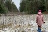 Миниатюра новости: Стало известно, когда в Кострому придут заморозки