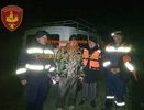 В Костромской области спасатели вывели из леса заплутавшего грибника