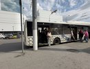 В Костроме 115 человек пострадали в ДТП с автобусами в 2025 году