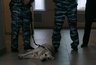 Миниатюра новости: В Костроме три ребенка пострадали от укусов домашних собак