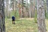 Миниатюра новости: Из Костромской области отправлено 78 тысяч кубометров пиломатериалов за границу