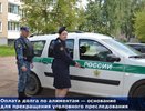 Костромич погасил 2 миллиона рублей алиментов, чтобы избежать уголовного преследования