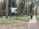 Стало известно, ждать ли костромичам теплую погоду в октябре