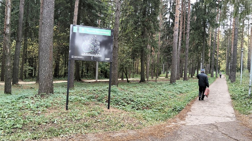 Главная картинка новости: Стало известно, ждать ли костромичам теплую погоду в октябре
