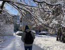 Мощный снегопад и аномальный мороз: синоптики назвали точную дату прихода зимы - это произойдет уже на днях