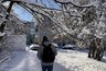 Миниатюра новости: Мощный снегопад и аномальный мороз: синоптики назвали точную дату прихода зимы - это произойдет уже на днях