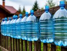 Подвешиваю 5-литровую бутылку с водой к забору: и это сразу помогло решить одну деликатную проблему